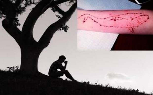 Lengyelországban is bajt okoz a Kék Bálna öngyilkos játék