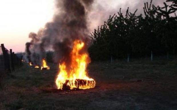 Sorsdöntő lesz a péntek éjszaka a gyümölcsfák számára