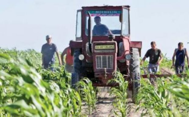 Május 15-ig igényelhetik a gazdák a támogatásokat