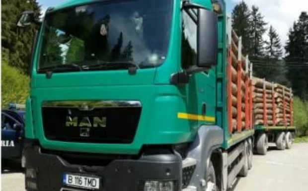 Jelöletlen farönköket szállított egy teherautó a Schweighofer rétyi üzemébe