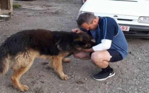 Mit sem törődve a lángokkal, megmentett egy kutyát egy nagyváradi magyar tűzoltó