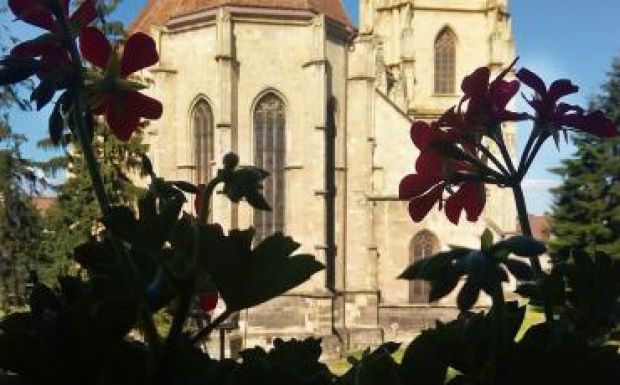 Városlakók bevonásával öltöztetnék virágba Kolozsvárt