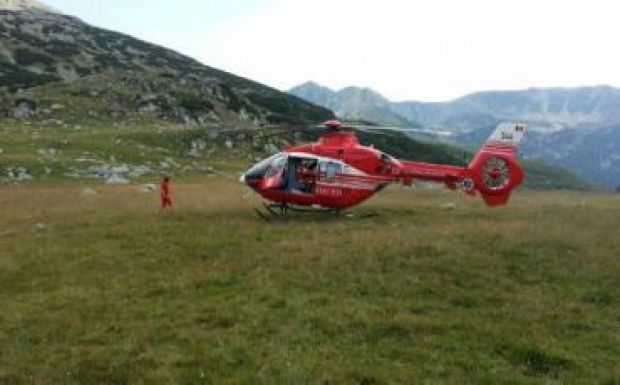 Vipera mart meg egy juhászt, helikopterrel szállították kórházba