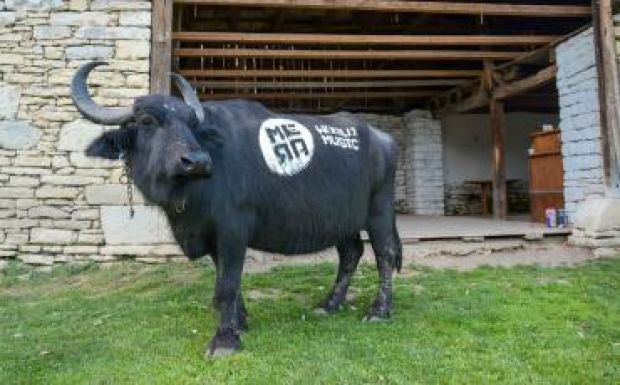 Több mint 60 programponttal készül a Méra World Music csűrfesztivál