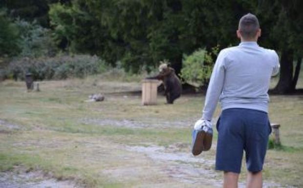 Nagyon ráijesztett a turistákra egy medve a Szent Anna-tónál