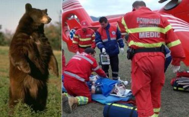 Ismét juhászra támadt egy medve, a férfi kórházban van