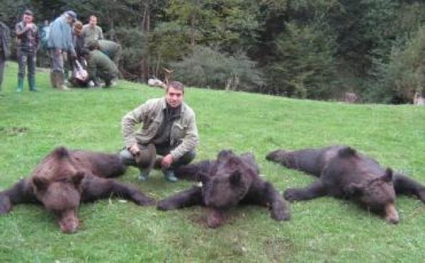 Megvan a „beavatkozási” rendelet, de ez nem oldja meg a medvekérdést Székelyföldön