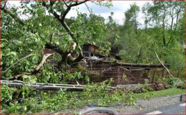 Ismét fákat döntött ki és tetőket rongált meg a vihar