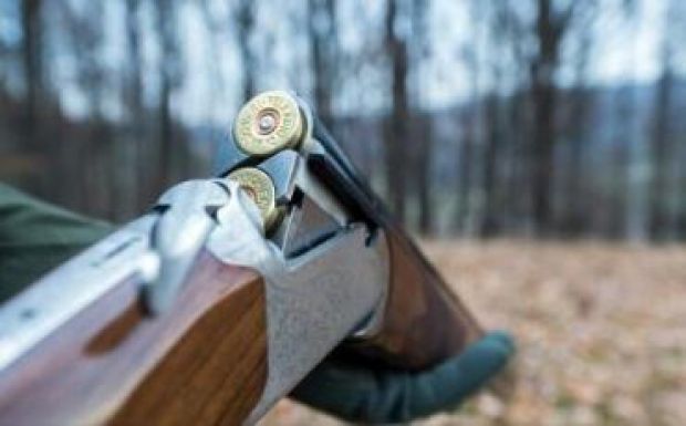 Vadászok: félretájékoztat a miniszter, lelőhetők a medvék