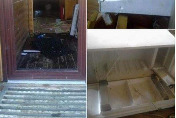 Dührohamot kapott egy medve a szovátai hegyimentő-állomáson