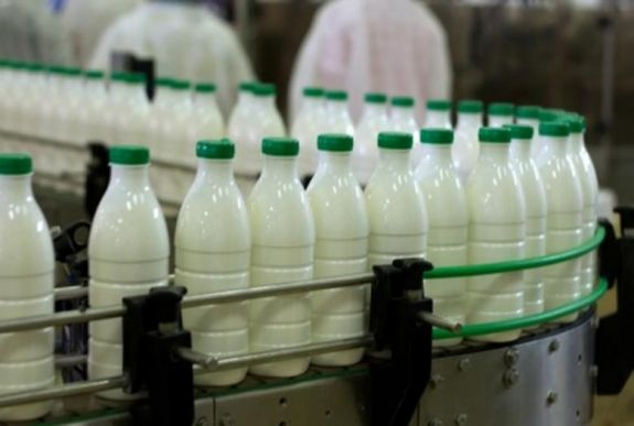 Számos tejipari vállalkozást megbírságoltak