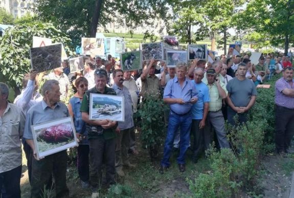 Bukarest gyáva? – tizenhét veszélyes medve kilövését hagyták jóvá Székelyföldön