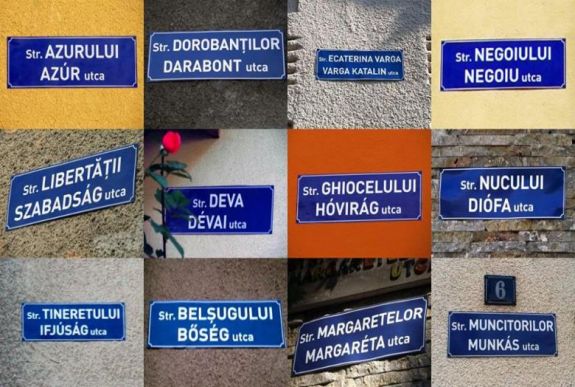 Cemo: Kereskényi túl drágának tartotta a kisebbségi jogok érvényesítését