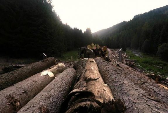 Romániai erdőirtásokról szóló filmet díjaztak a Lakiteleki Filmszemlén