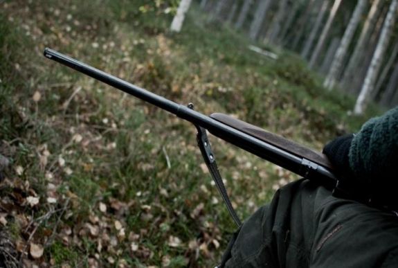 Vadászegyesületeket kérdeztünk: a hideg miatt nehezebb lesz kilőni a medvéket Hargita megyében