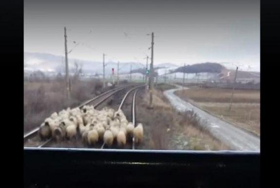 És csodálkozunk, hogy Romániában késnek a vonatok