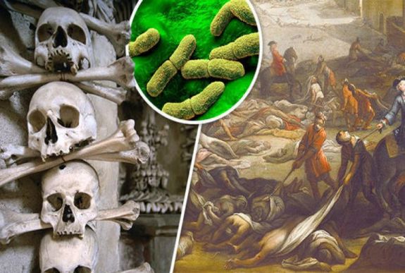 Kiderült: nem a patkányok terjesztették el a pestist Európában