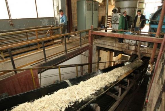 Szándékosan vitték csődbe a nagyváradi cukorgyárat?