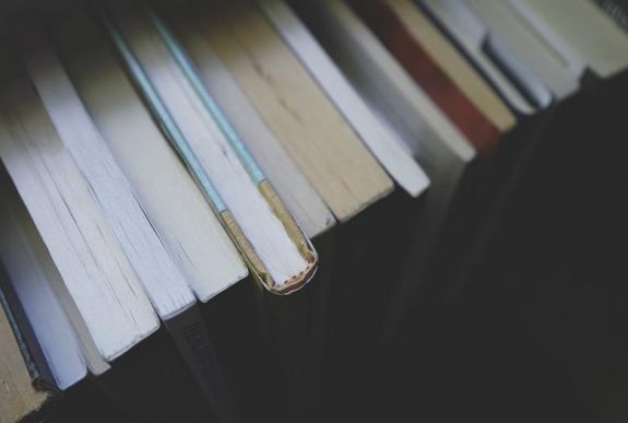 Két erdélyi szerző szerepel az év legfontosabb magyar irodalmi listáján