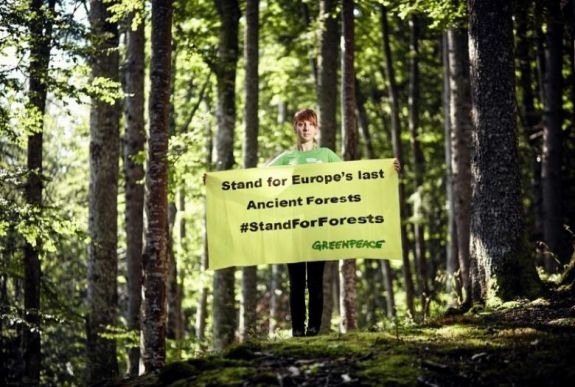 Nyúljanak hozzá a szűz erdőkhöz, hogy legyen a házunkban csatornázás?