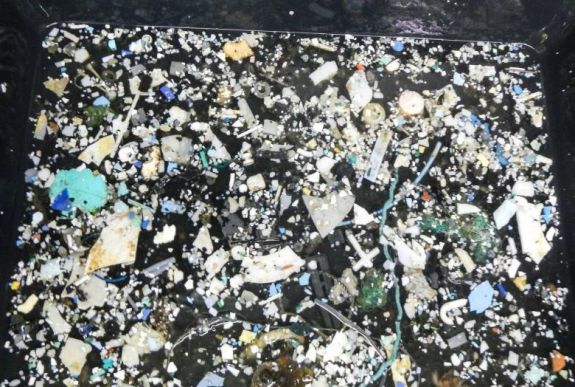 Gyorsan növekszik a csendes-óceáni műanyaghulladék mennyisége