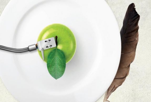 Koszikáék helyben zenésítenek meg egy költeményt a szatmári versünnepen