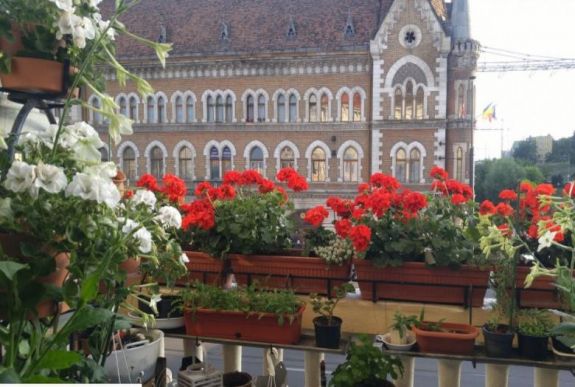 Újra meghirdették a Virágos Kolozsvár versenyt