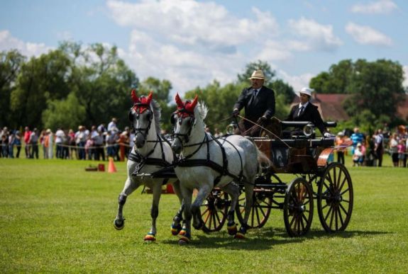 Háromszék felkerült a nemzetközi lovas fogathajtás térképére