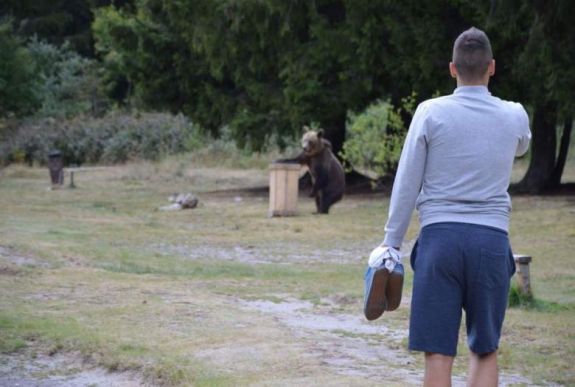 Miniszteri rendeletet fognak kiadni medvék kilövésére