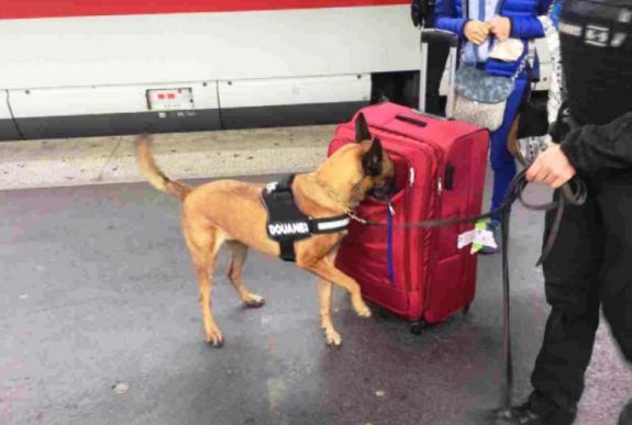 Románia kapta a legtöbb figyelmeztetést az EU csalás elleni hivatalától