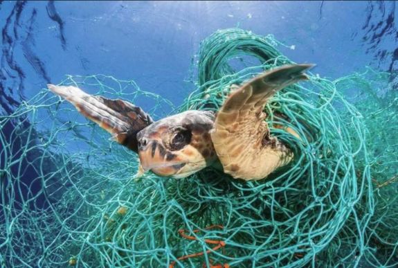 Lassan belefullad az élővilág a Földközi-tenger szeméthegyeibe
