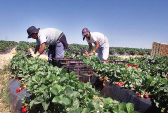 Így kerülje el a kamu munkaközvetítőket, ha külföldön szeretne munkát vállalni
