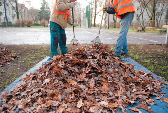 Csökkent a foglalkoztatási ráta az első negyedévben