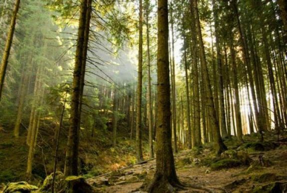 Jogerős ítélet: visszaállamosították a Bánffy-birtok egy részét