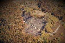 A magánszemélyek kárára duplázta meg erdőbirtokát az állam