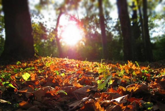 Ilyen lesz a nyár vége a meteorológusok szerint