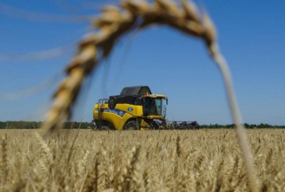 Székelyföld gazdaságát támogató programot indít a magyar kormány