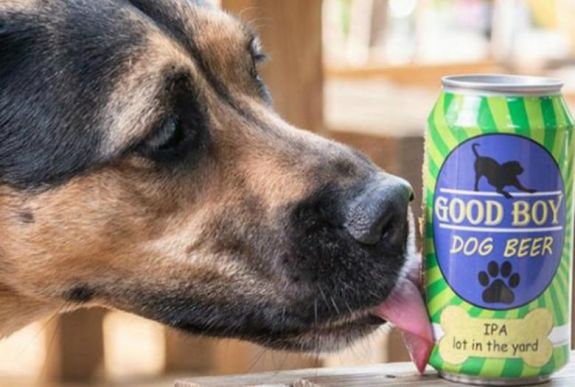 Kutyáknak fejlesztettek ki sört