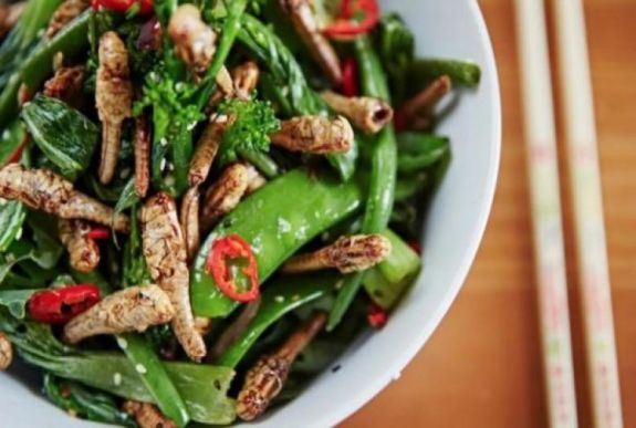 Ehető rovarokkal bővül az egyik brit élelmiszeráruház-lánc kínálata