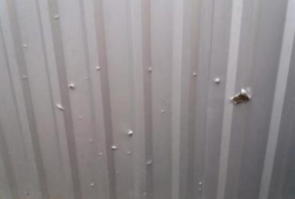 Kézigránátot dobtak egy civil aktivista udvarába Ungváron