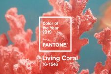 Ez lesz 2019-ben az év színe