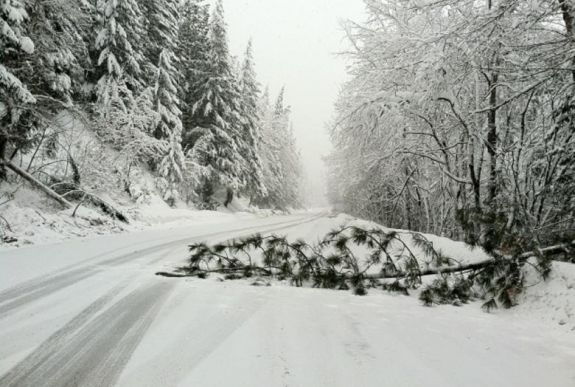 Szikladarabok és fák zuhanhatnak a 15-ös országútra