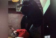 Kegyetlenül megvert egy idős embert egy miniamnesztiával szabadult elítélt