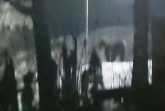 Medve kerülgette vasárnap este Borboly Csaba tanácselnök házát