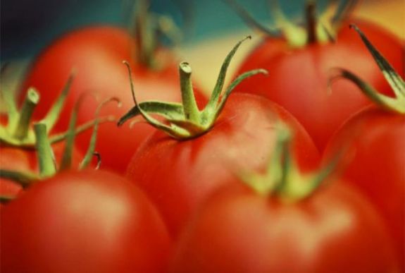 Idén 50 millió eurót szán a kormány a Paradicsom programra