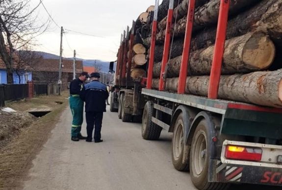 Razzia Székelyföldön: óriási mennyiségű faanyag kerül törvénytelenül a fafeldolgozókhoz
