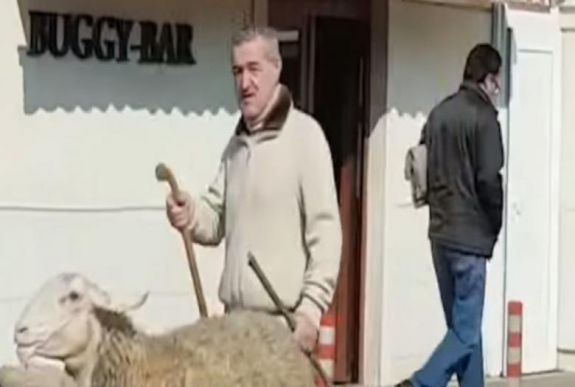 Idén is „megsétáltatta” juhait faluja főutcáján Gigi Becali