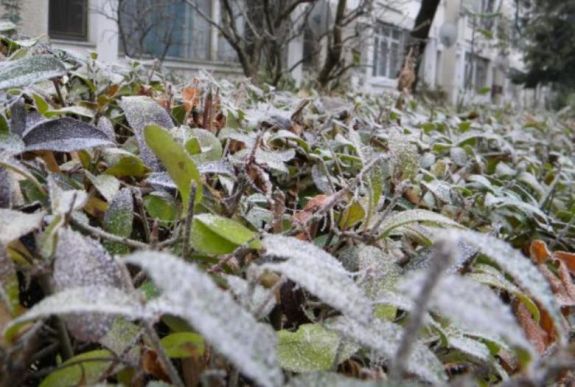 Nagyon lehűl az idő a következő napokban