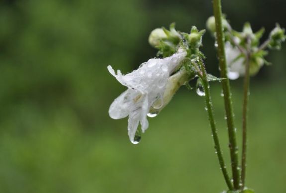 Ilyen lesz az időjárás a következő két hétben
