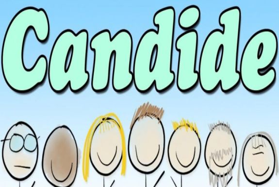 Ambrus Attila: Pangloss mester reinkarnálódása